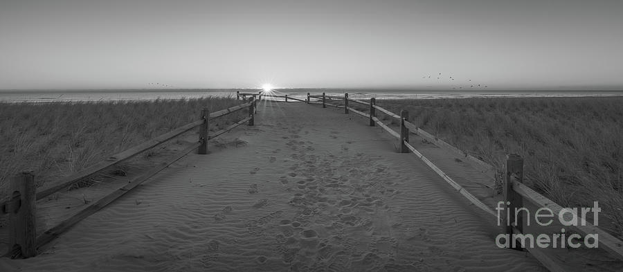 Beach Path Sunrise Panorama BW Photograph by Michael Ver Sprill