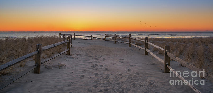 Beach Path Sunrise Panorama  Photograph by Michael Ver Sprill