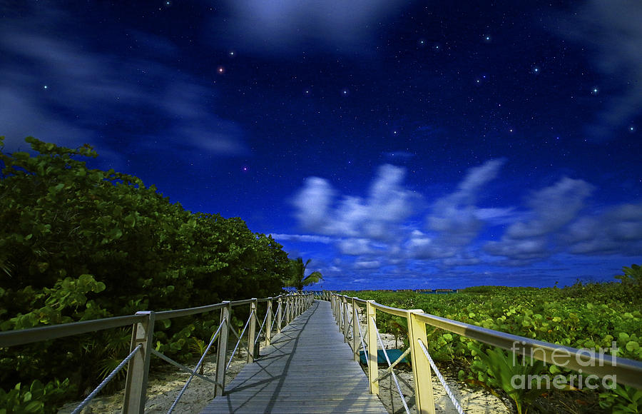 Beach Path under Starry Sky Photograph by Charline Xia