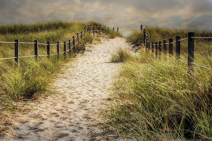 Beach Path - WD3 Photograph by Robert Anastasi
