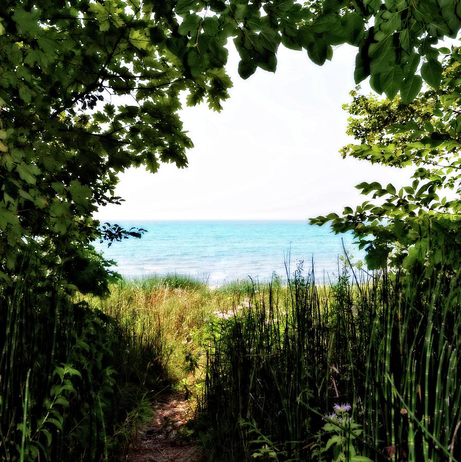 Beach Path with Snake Grass Photograph by Michelle Calkins