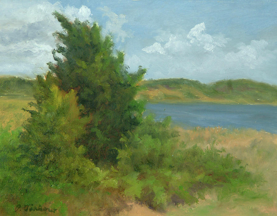 Wellfleet Painting - Beach Pines by Phyllis Tarlow Wellfleet Painting - Beach Pines by Phyllis Tarlow