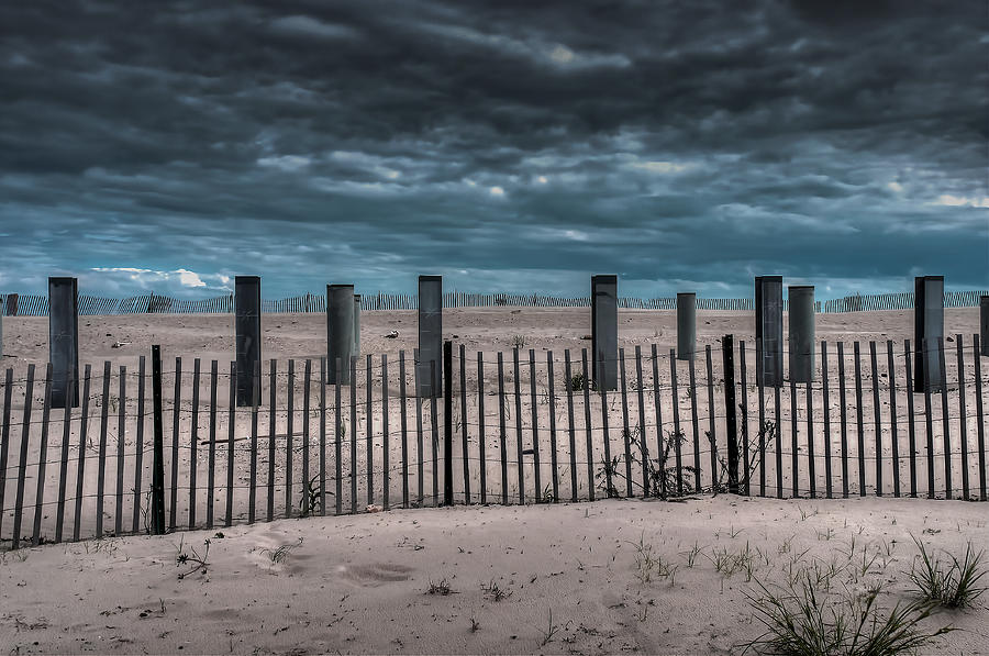 Beach Photograph - Beach Poles by Mike Deutsch