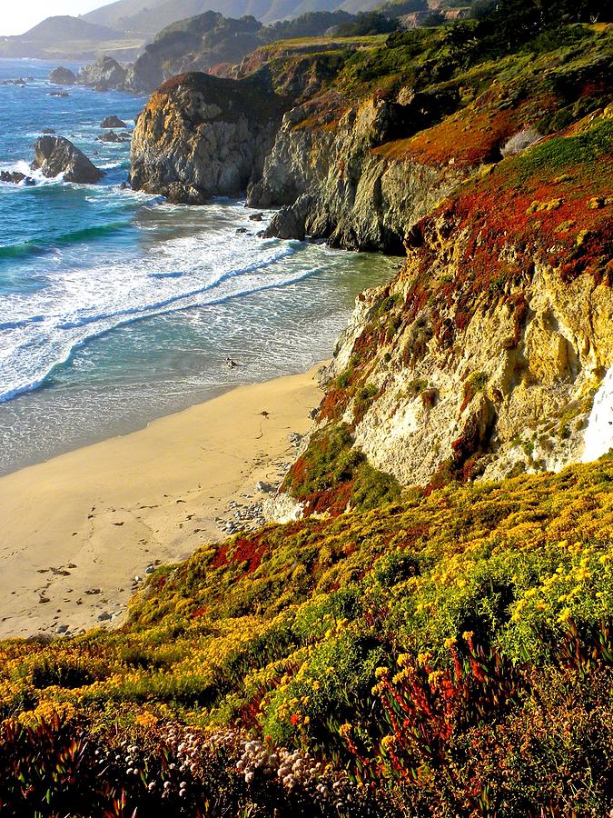 Beach Portrait Photograph by Dale Chapel - Fine Art America