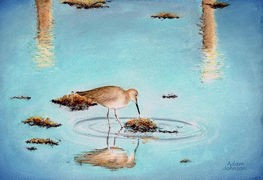 Beach Reflection by Adam Johnson Beach Reflection by Adam Johnson