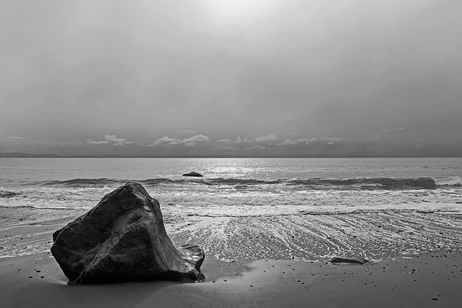 Beach Rock Photograph by Inge Riis McDonald
