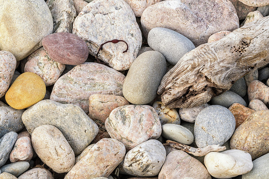 Beach Rocks along Sakonnet Point, Middletown, Rhode Island. Photograph by Dawna Moore Photography