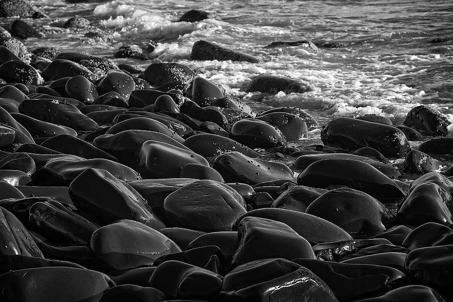 Beach rocks Photograph by Catherine Reading