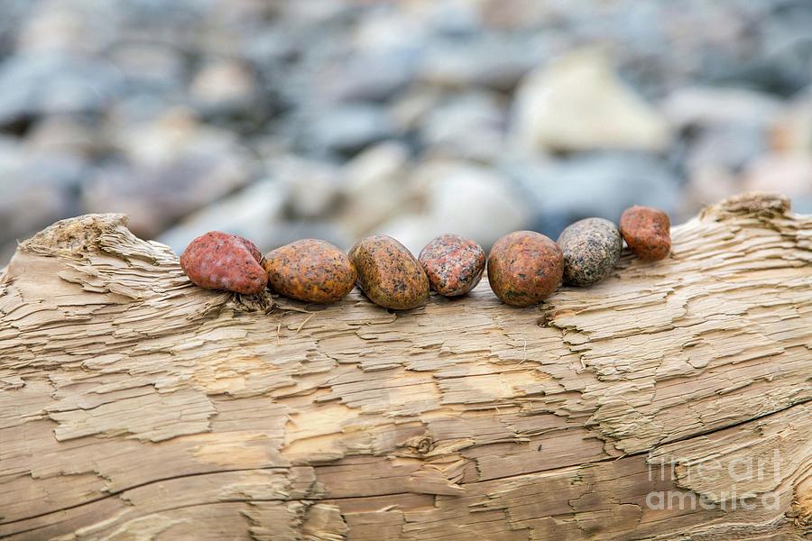 Beach Rocks Photograph by Karin Pinkham
