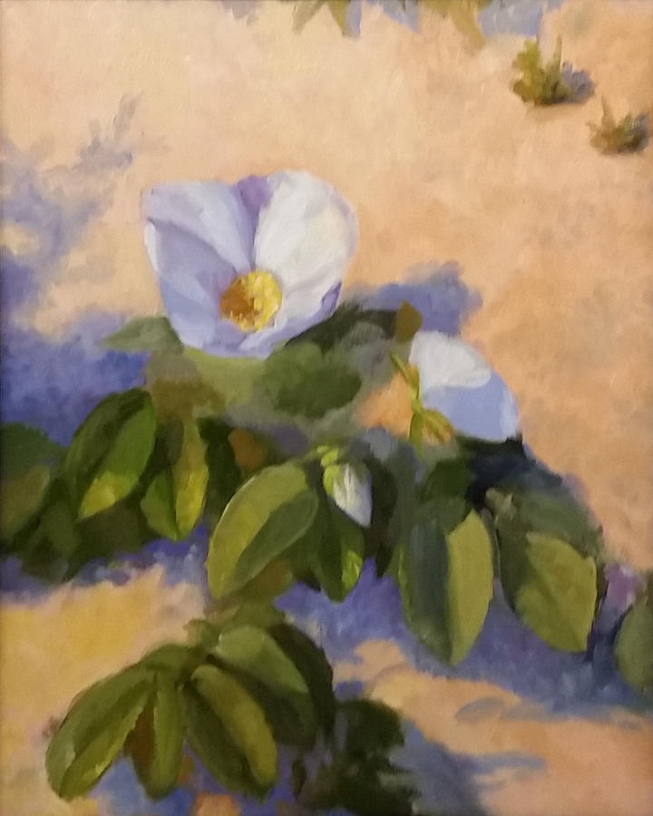 Beach Rose Painting by Beth Johnston