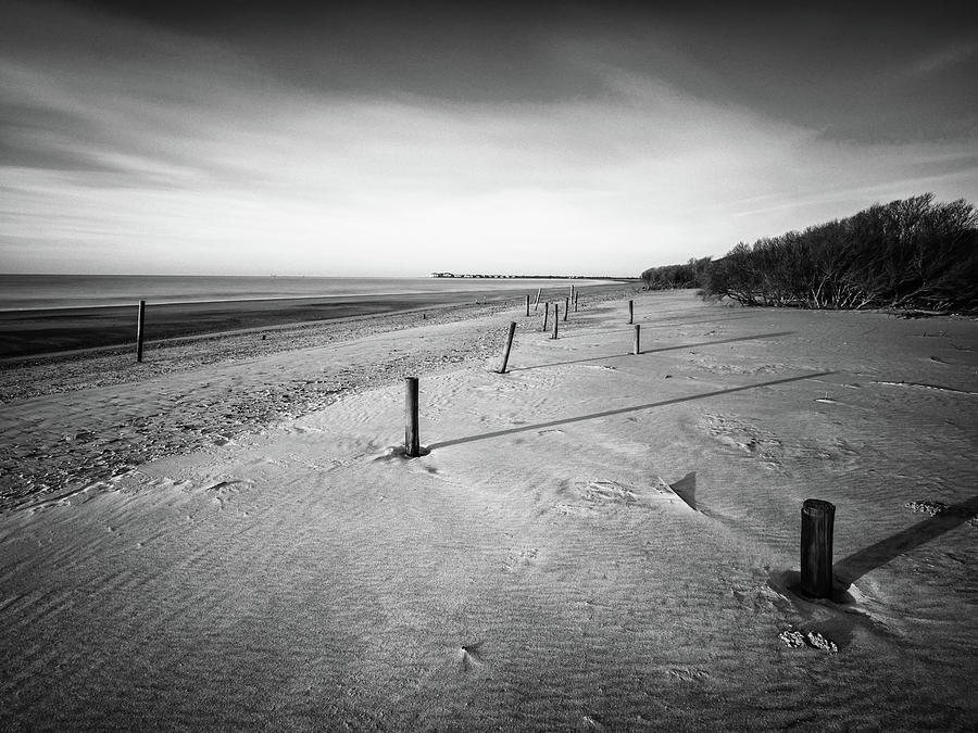 Beach Ruins - Dewees Island, SC Photograph by Donnie Whitaker