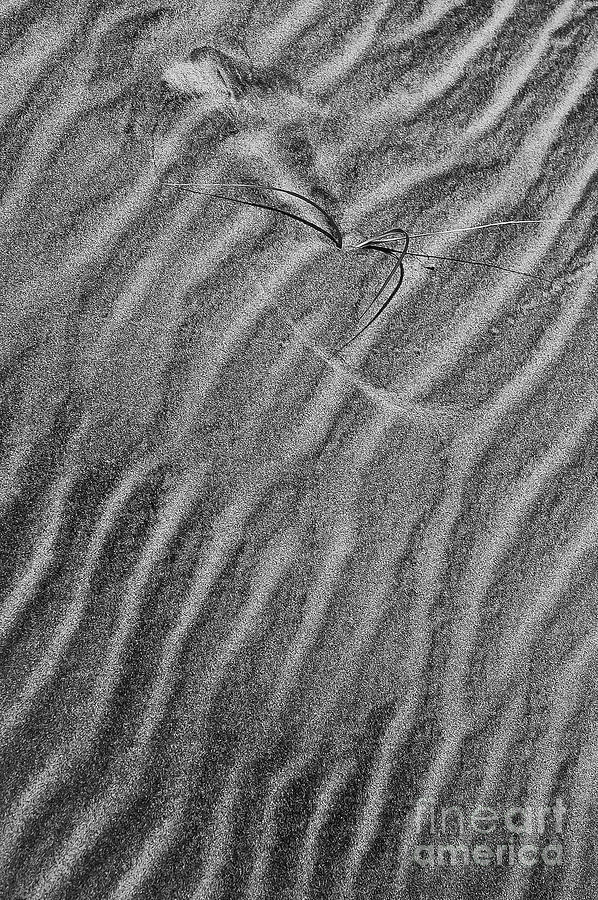 Beach Sands 2 Photograph by Bob Phillips
