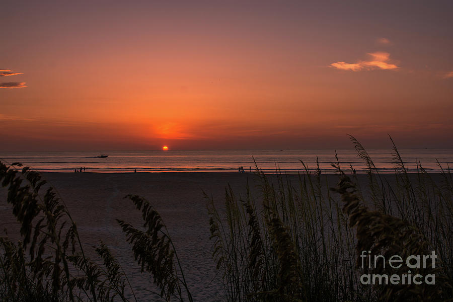 Beach scene at sunrise Photograph by Zina Stromberg