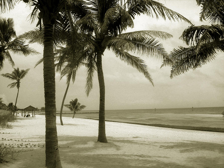 Beach scene in Key West Photograph by Susanne Van Hulst