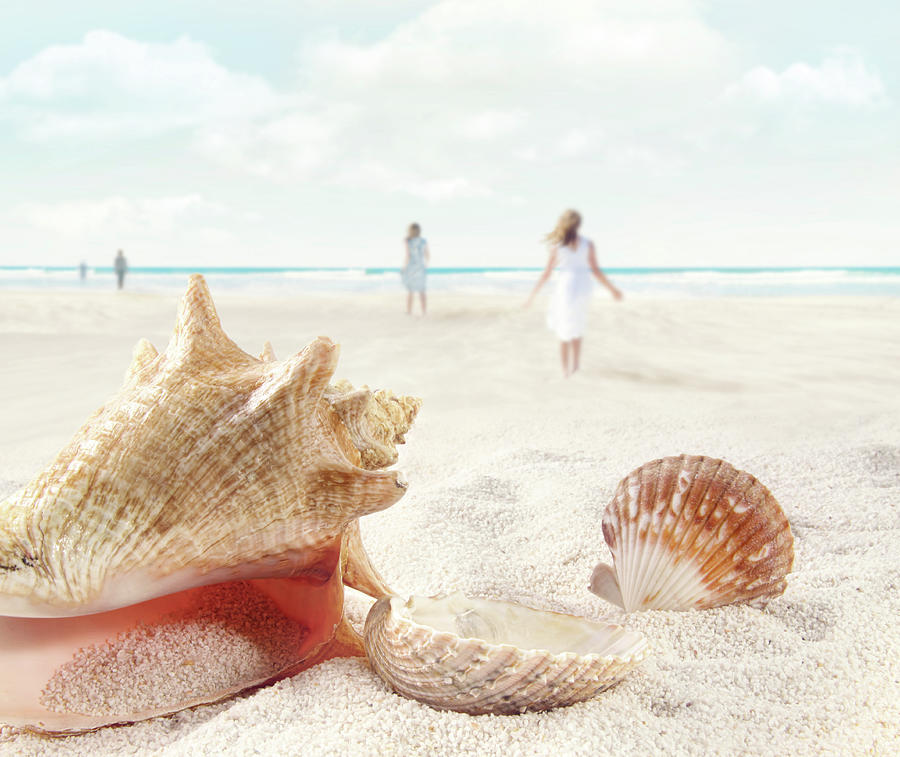 Nature Photograph - Beach scene with people walking and seashells by Sandra Cunningham