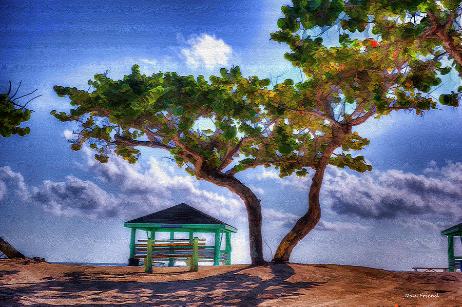 Beach scene with tree Photograph by Dan Friend