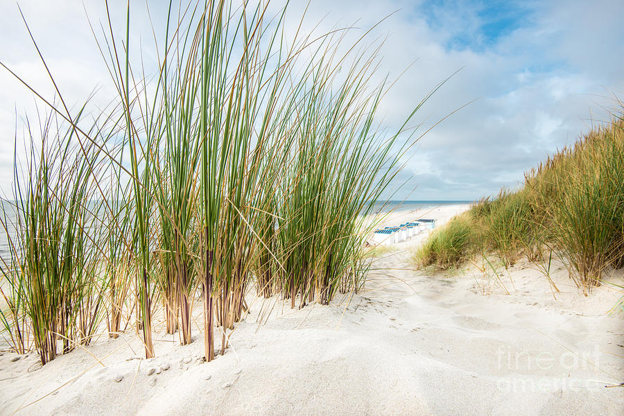 Beach Scenery Photograph by Hannes Cmarits