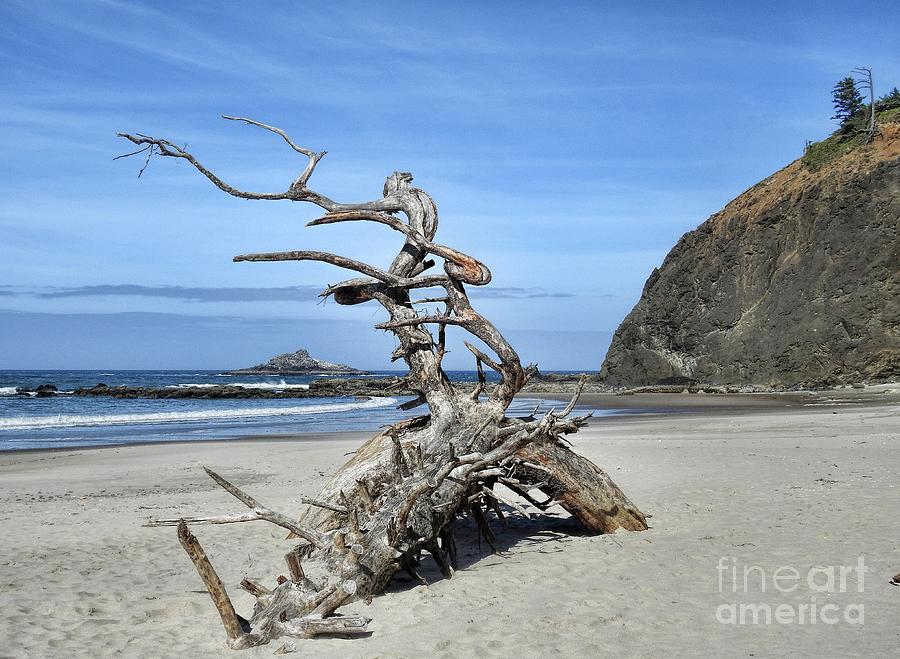 Nature Photograph - Beach Sculpture by Peggy Hughes