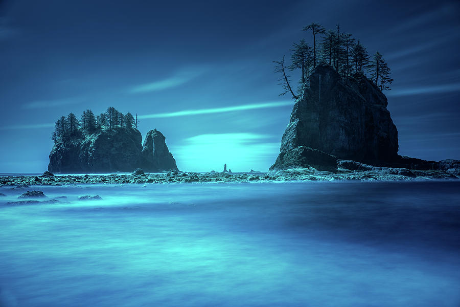 Beach sea stacks with trees Photograph by William Lee