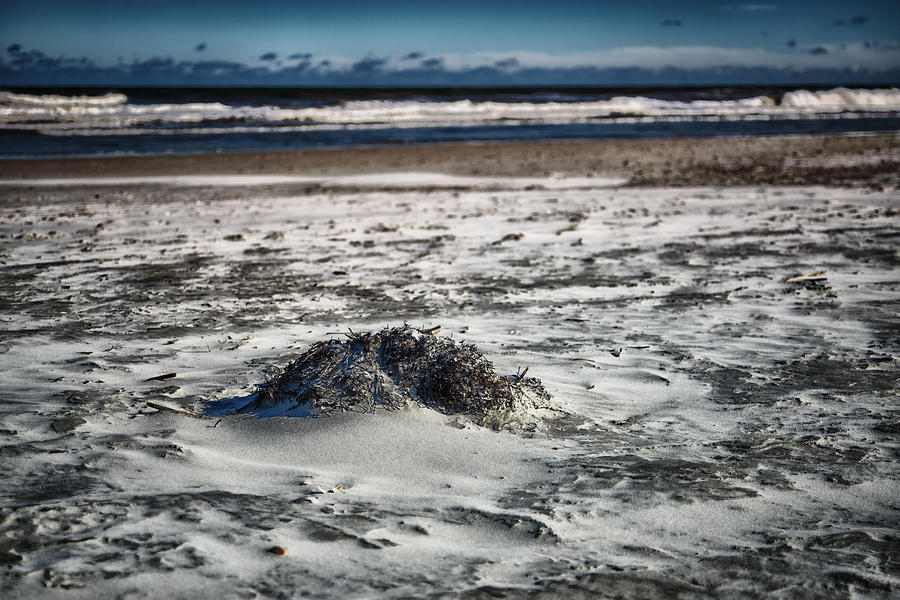 Beach Solitude Photograph by Joseph Desiderio