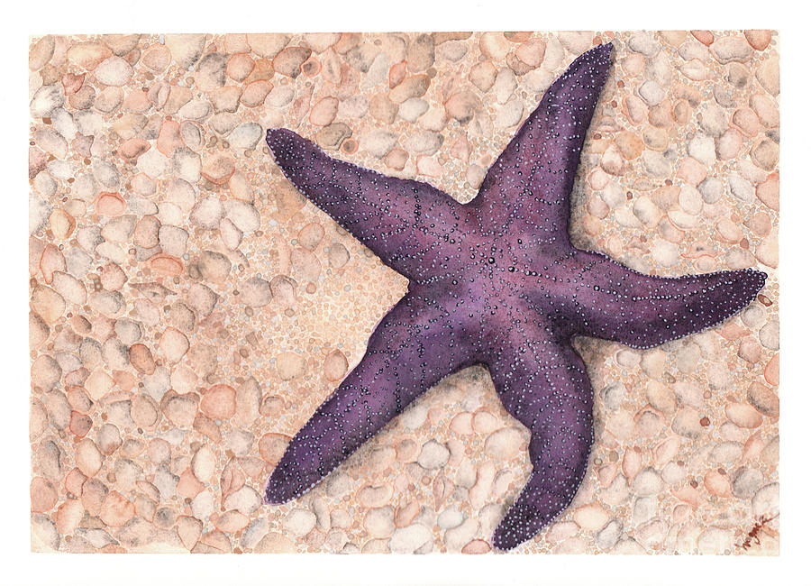 Beach Starfish Painting by Hilda Wagner