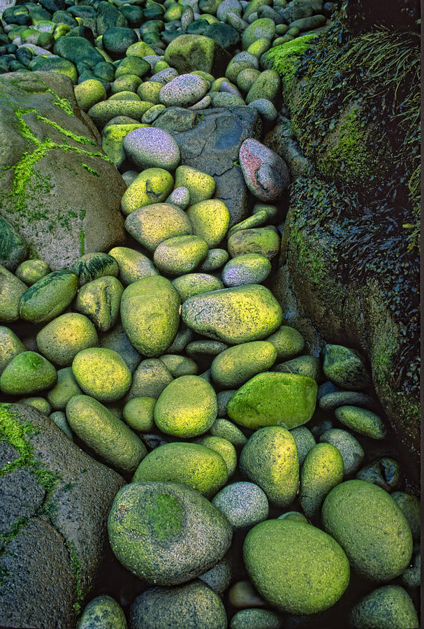 Beach Stones Highway Photograph by Irwin Barrett