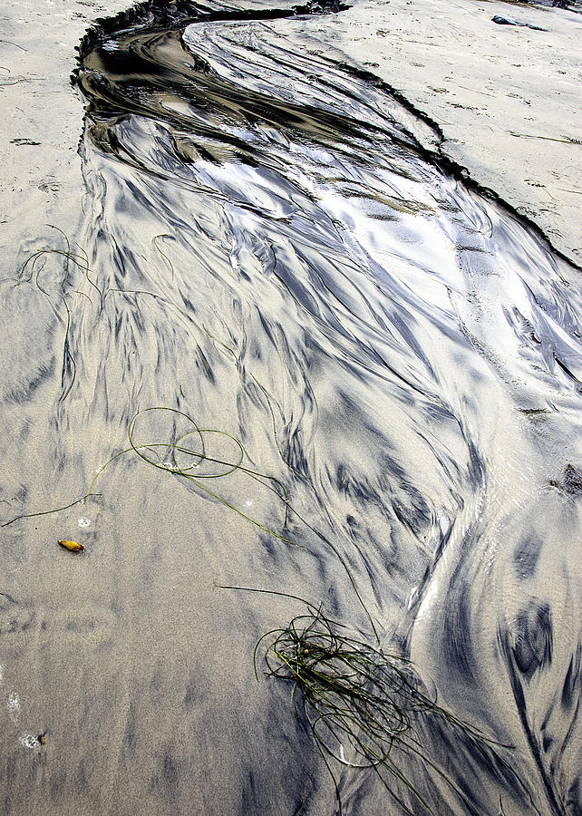 Beach Stream Photograph by Claude LeTien
