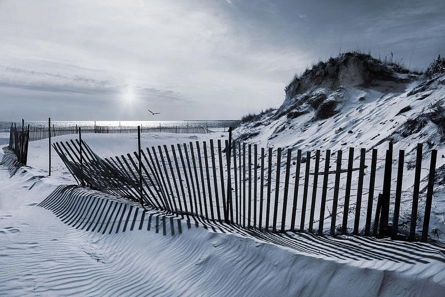 Beach Stripes Photograph by Robin-Lee Vieira