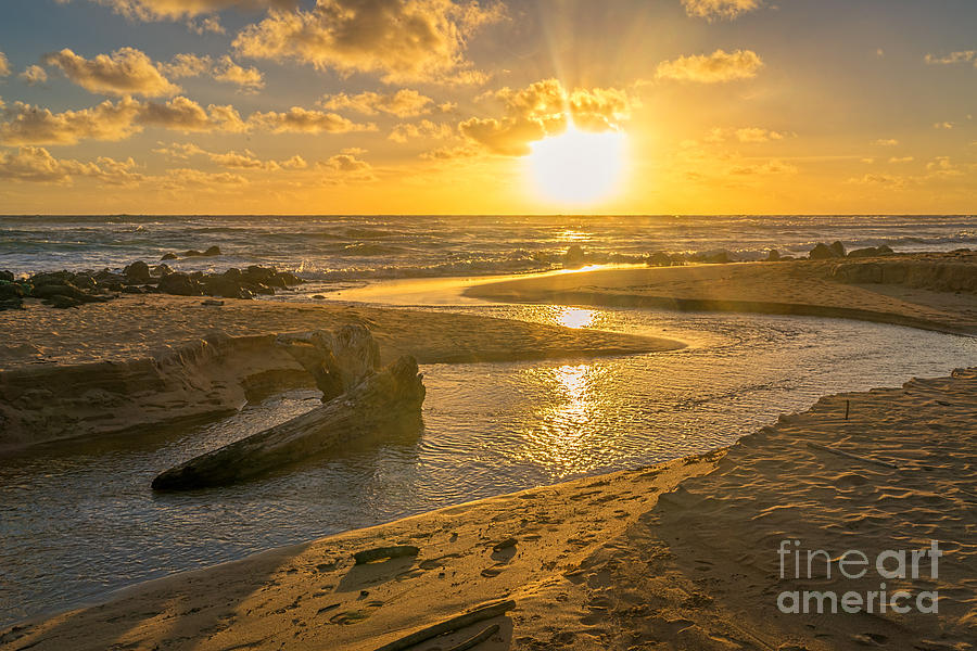 Beach sunrise Photograph by Izet Kapetanovic