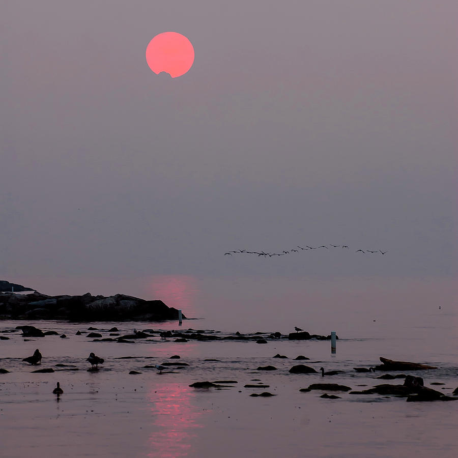 Beach Sunrise Photograph by Rick Shea