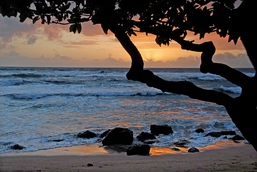 Beach Sunrise Photograph by Ted Keller