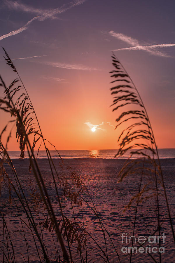 Sunset Photograph - Beach sunrise by Zina Stromberg