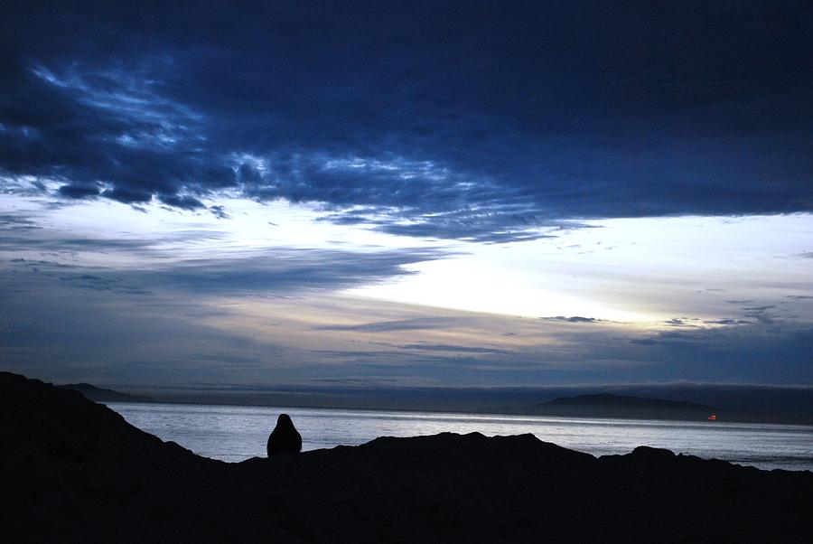 Tree Photograph - Beach Sunset Dreamer by Matt Quest