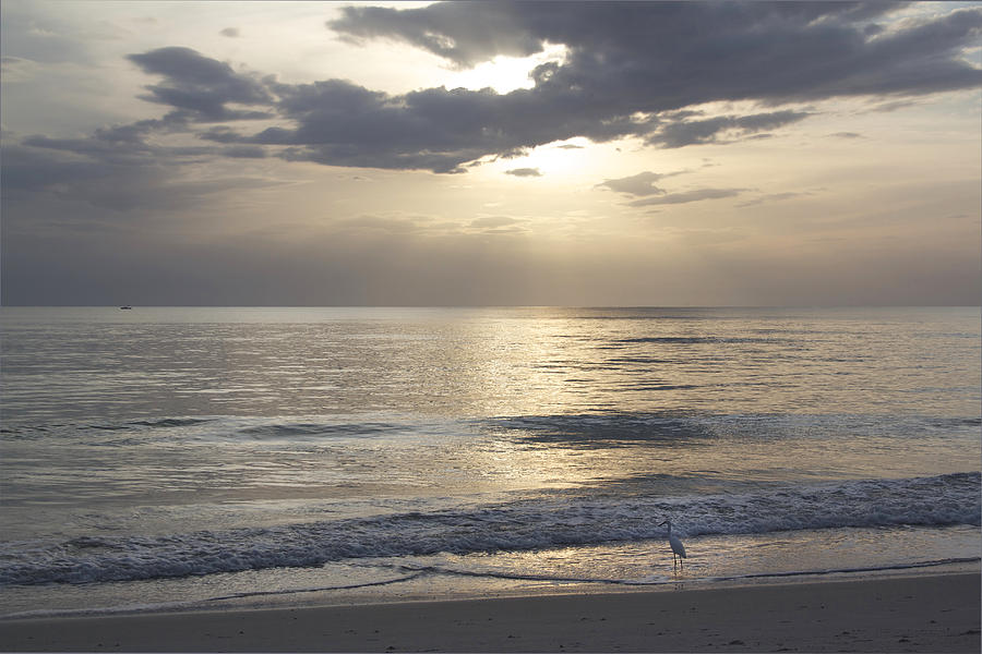 Beach Sunset Photograph by Hermes Fine Art
