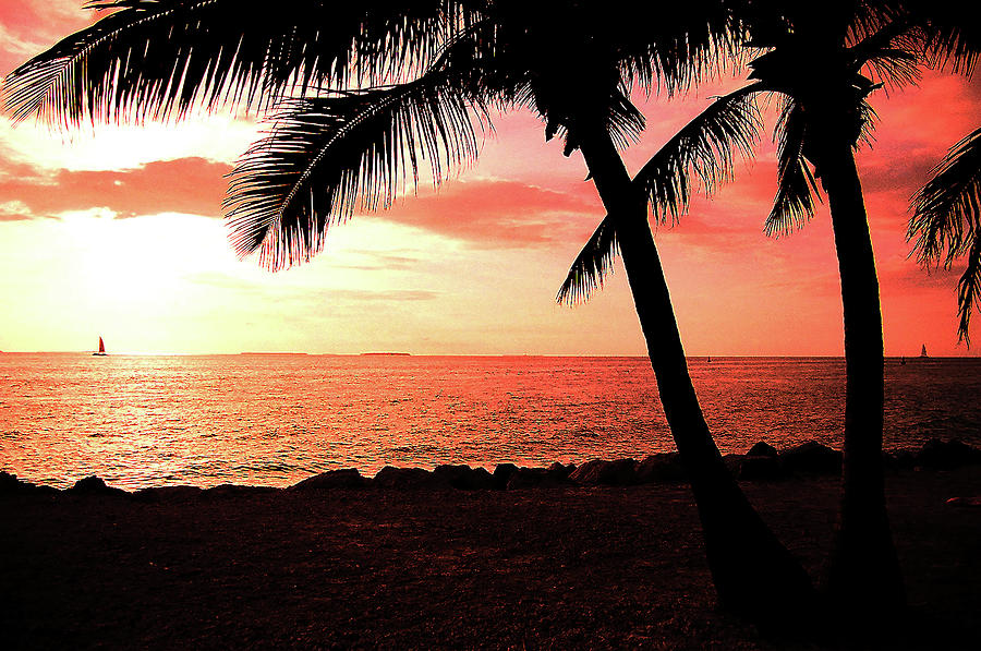 Beach Sunset Key West Photograph By Kelly Steelman Pixels