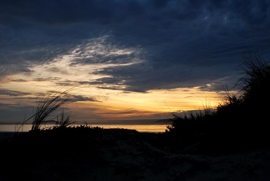 Tree Photograph - Beach Sunset Landscape - Southern California Coast by Matt Quest