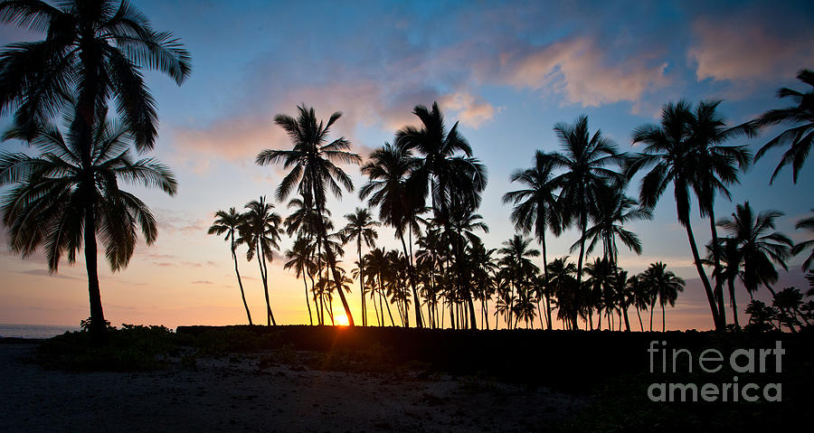Beach Sunset Photograph