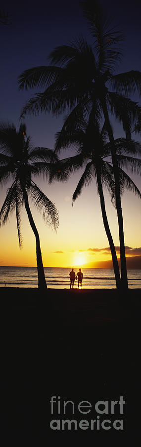 Beach Sunset Panorama Photograph by Bill Schildge - Printscapes