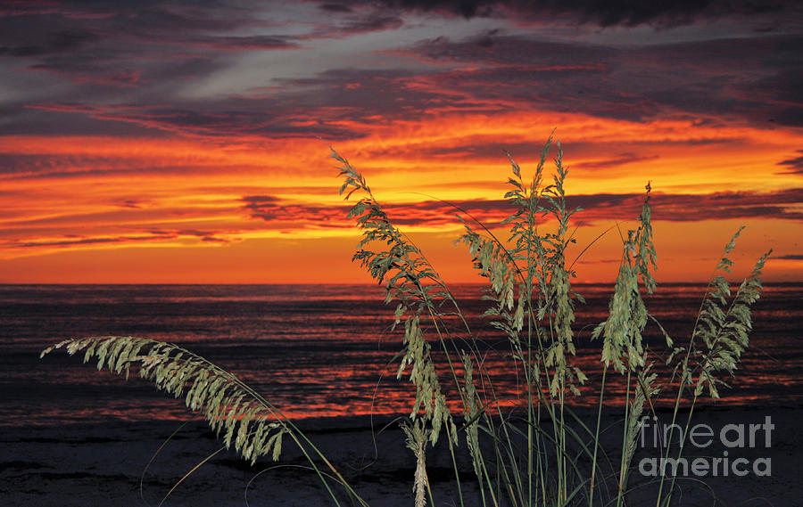 Beach Sunset00012 Photograph by Don Solari