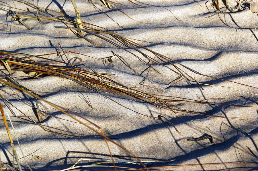 Nature Photograph - Beach Tapestry by Lynda Lehmann