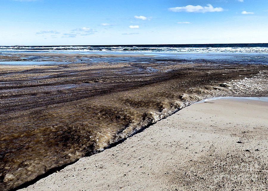 Beach Textures Photograph by Janice Drew