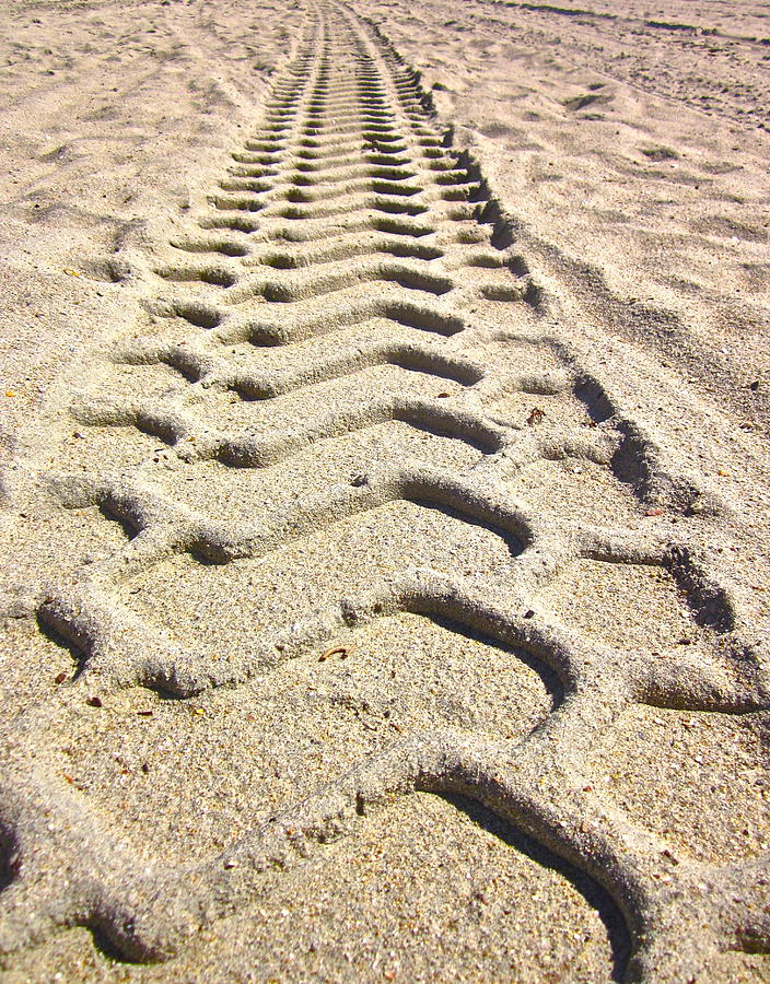 Beach tracks Photograph by Gwyn Newcombe