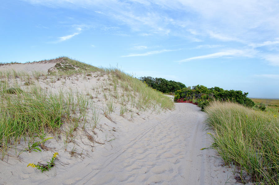 Beach Trail Photograph by Donna Doherty