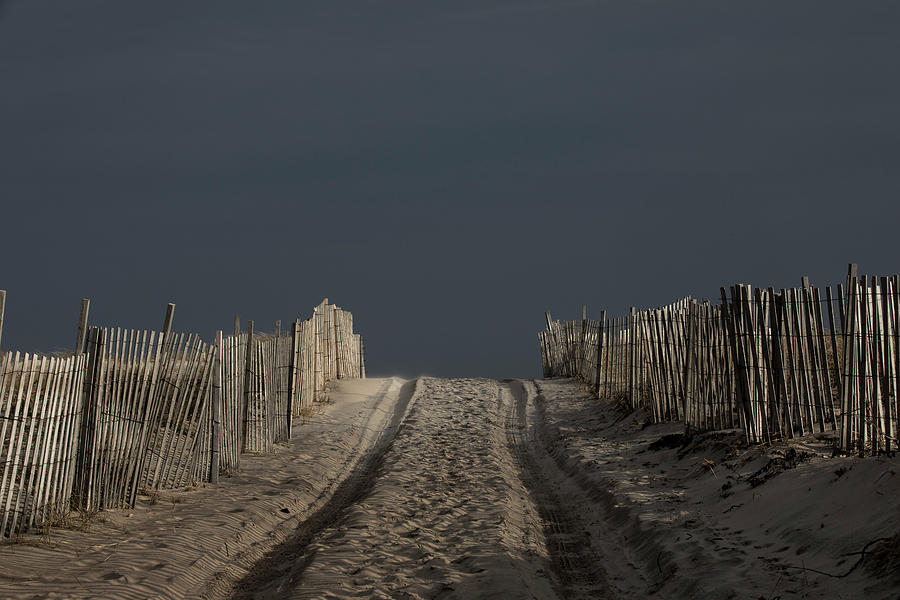 Beach Treads Photograph by Steve Gravano