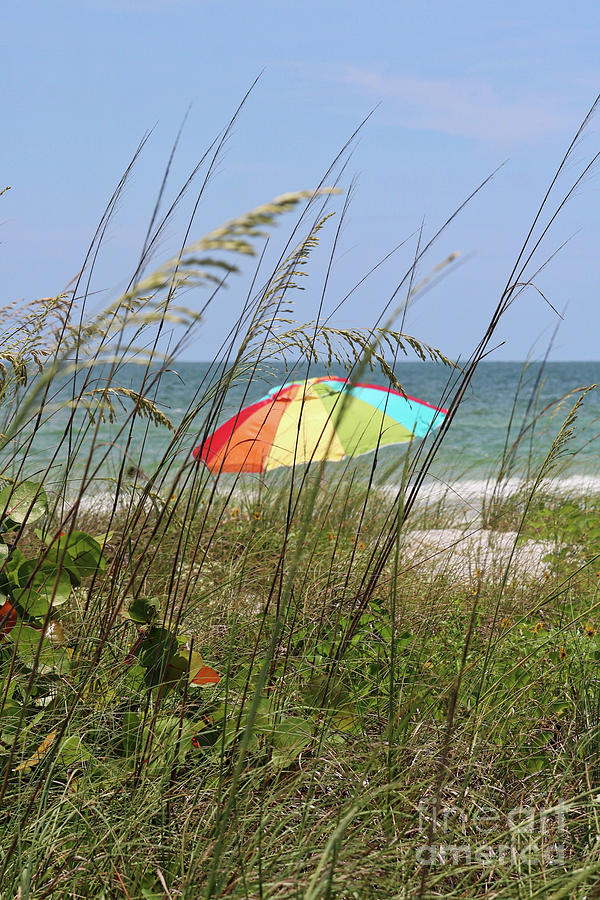 Beach Umbrella Photograph by Carol Groenen