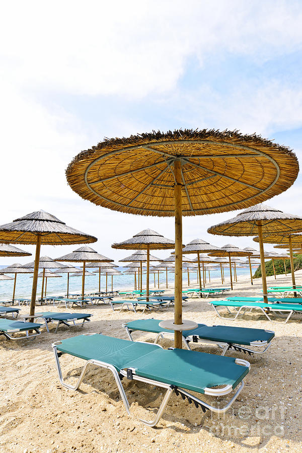Beach umbrellas and chairs on sandy seashore Photograph by Elena Elisseeva
