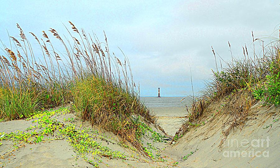 Beach View Photograph