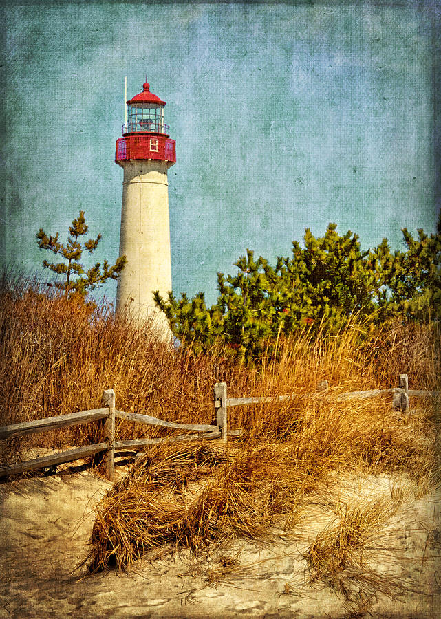 Beach View of Cape May Lighthouse Photograph by Carolyn Derstine
