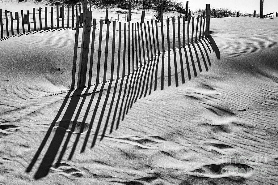 Beach Wind Fence 2 Photograph by Bob Phillips