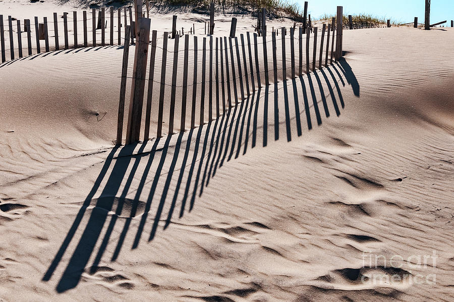 Beach Wind Fence Photograph by Bob Phillips